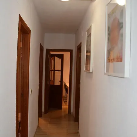 Apartmán Delfin In *